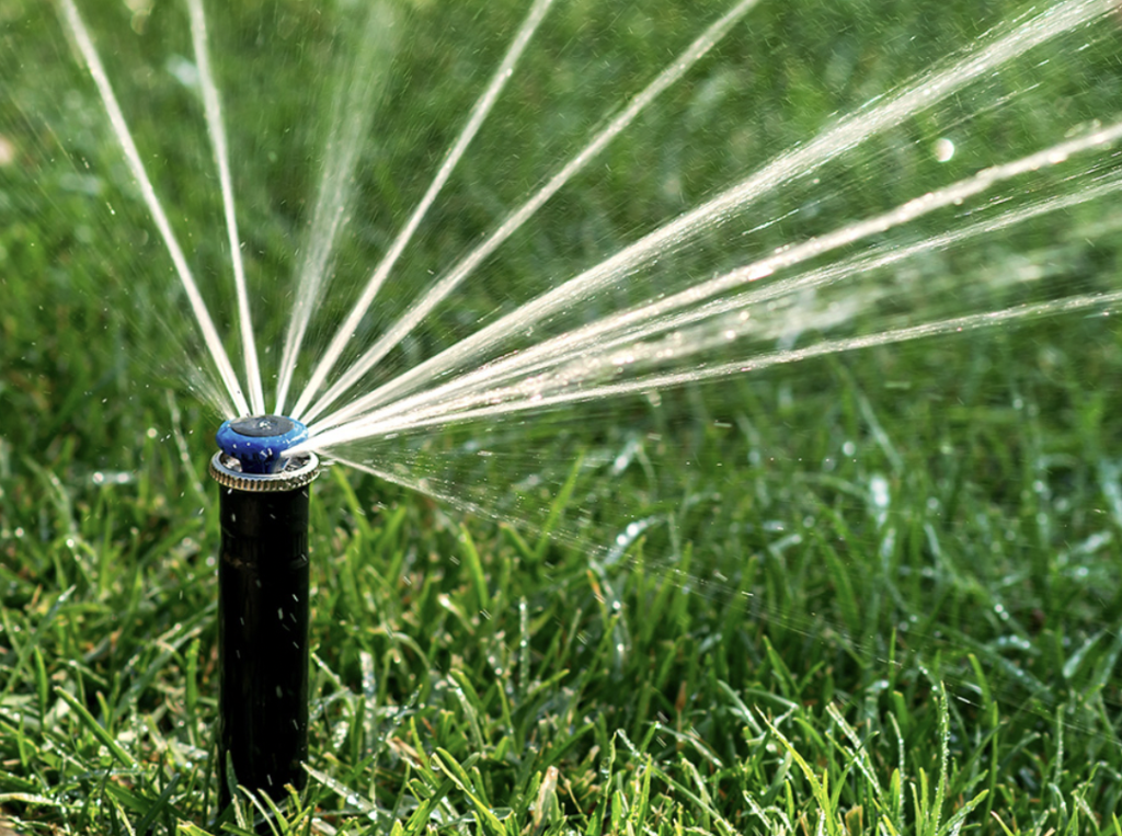 how-to-properly-irrigate-your-landscape-in-san-diego-cleator-landscape