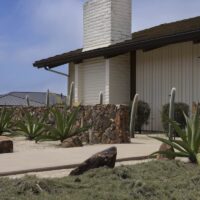 Cleator Landscape | Mid Century Landscape Design San Diego | CA